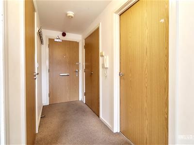 Picture 12